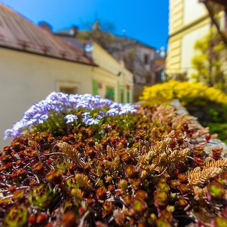 Penzion U Hradku Kutná Hora Екстериор снимка